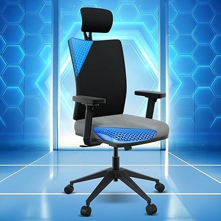 The Sleep Company Onyx Orthopedic Office Chair